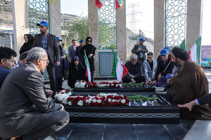 دانشگاه*