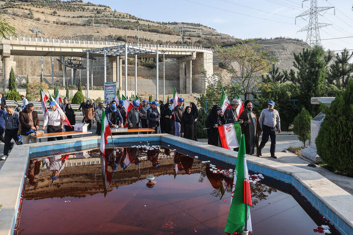 دانشگاه*