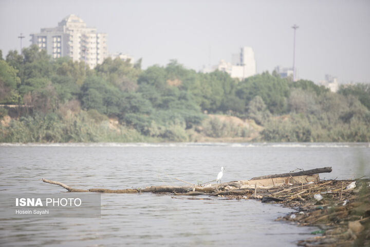 اهواز*