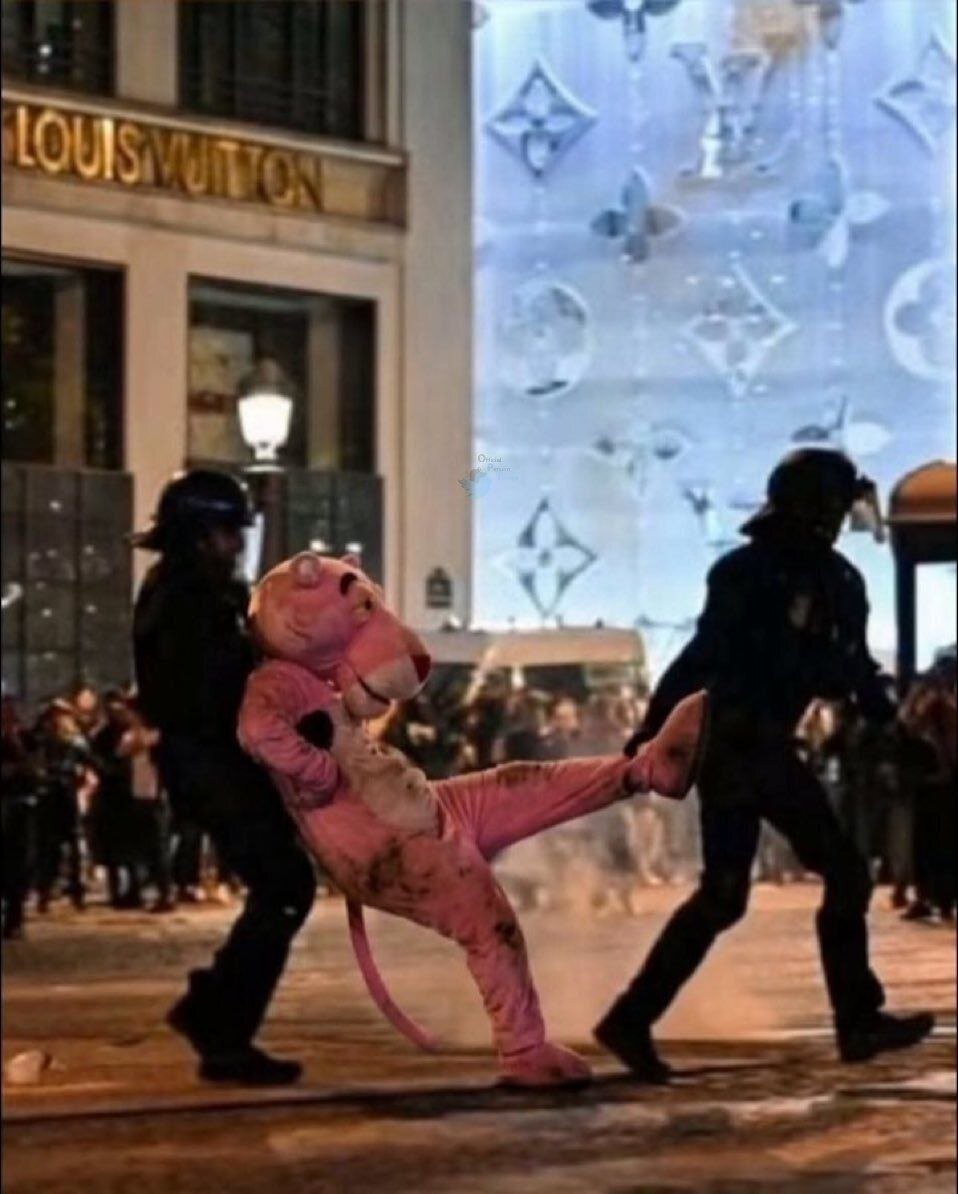 پلیس فرانسه پلنگ صورتی را بازداشت کرد 