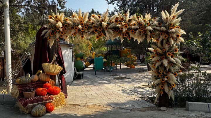 آغاز رویداد «خانه شهر» در بوستان‌های بانوان؛ حمایتی نو از کسب‌وکار زنان