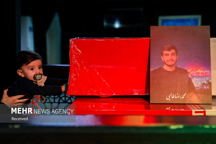 شهید طالبی