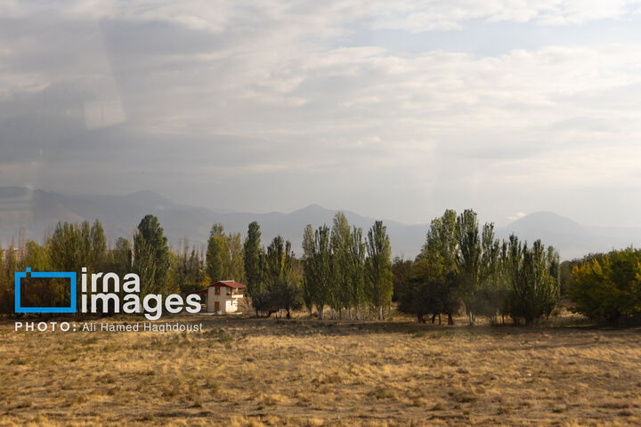 خوی
