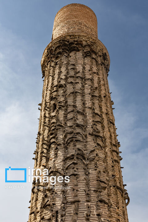 خوی