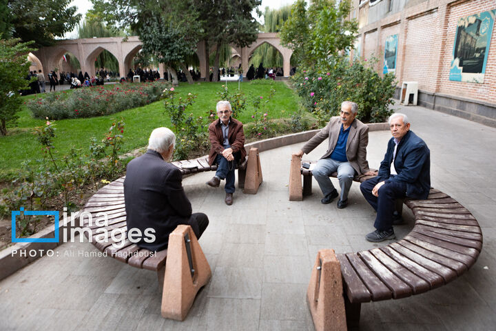 خوی