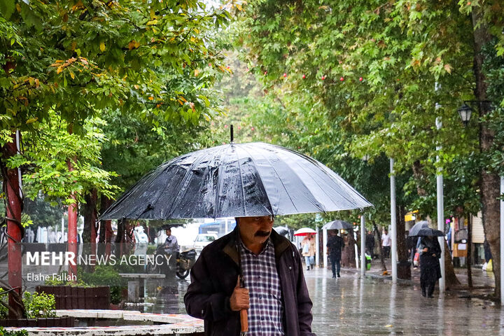 باران پاییزی.