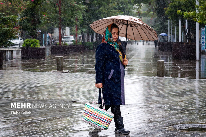 باران پاییزی.
