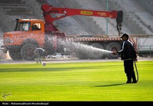 هشدار درباره چمن هیبریدی آزادی