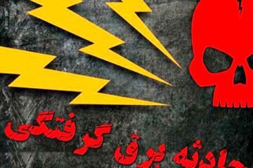 برق‌گرفتگی حین گردو تکانی جان مرد ۴۷ ساله را در نهاوند گرفت