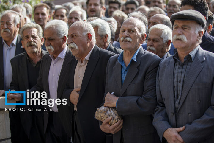 تنبور