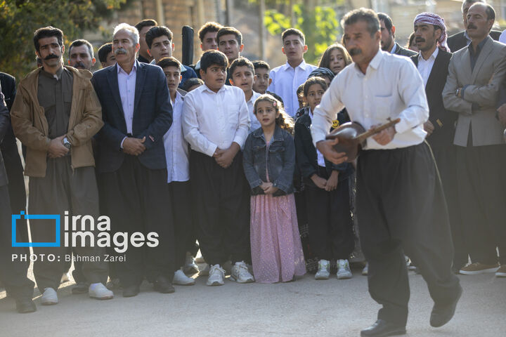 تنبور
