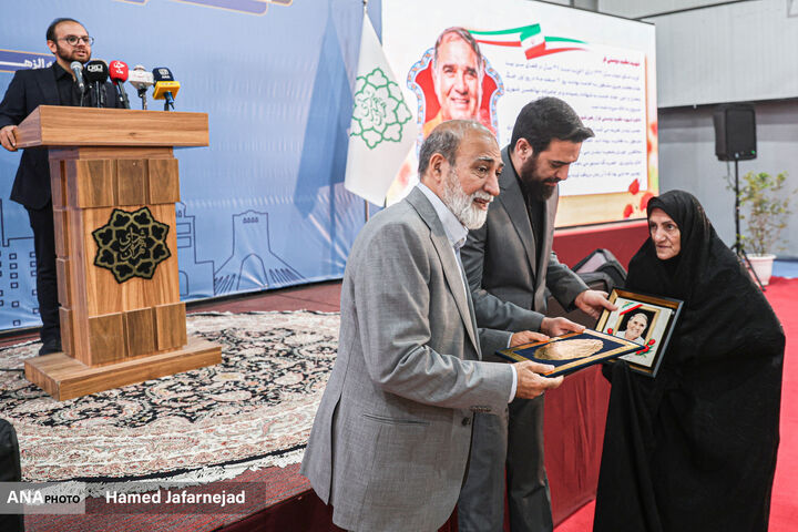 بوستان ترافیک