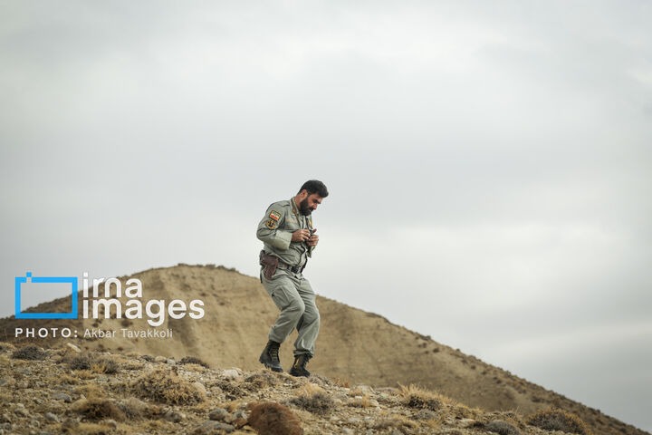 کاوده