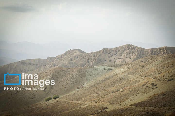 کاوده