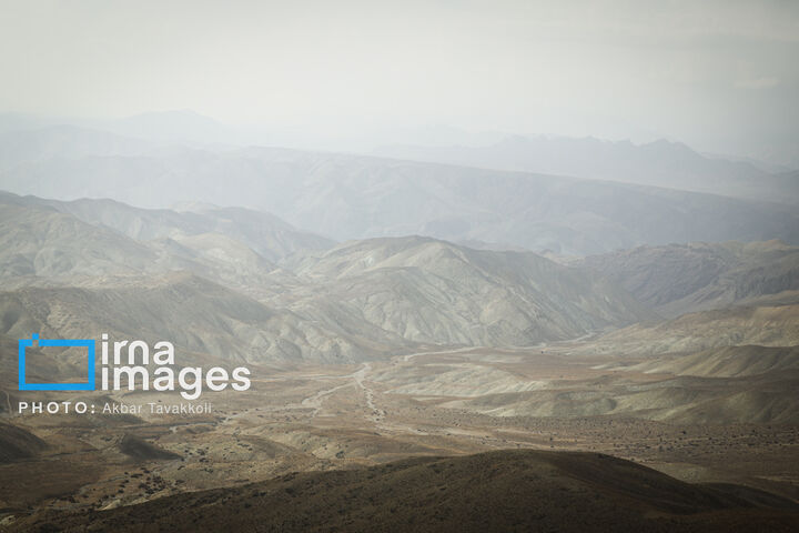 کاوده