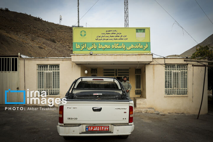 کاوده