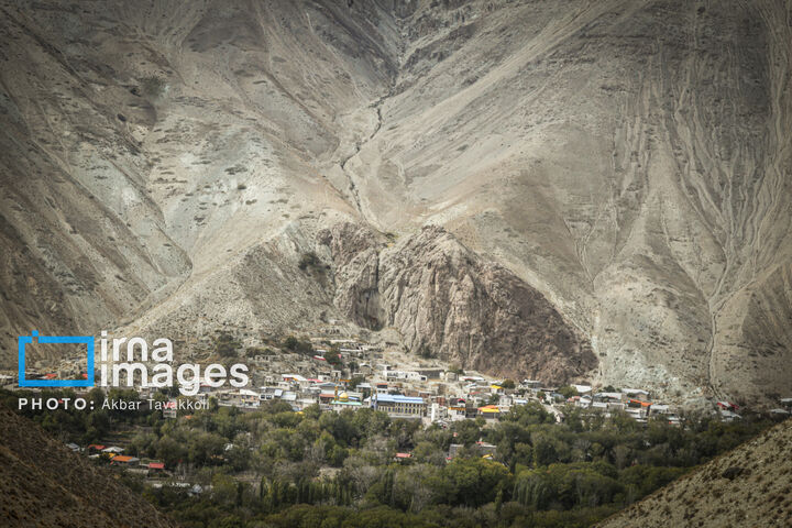 کاوده