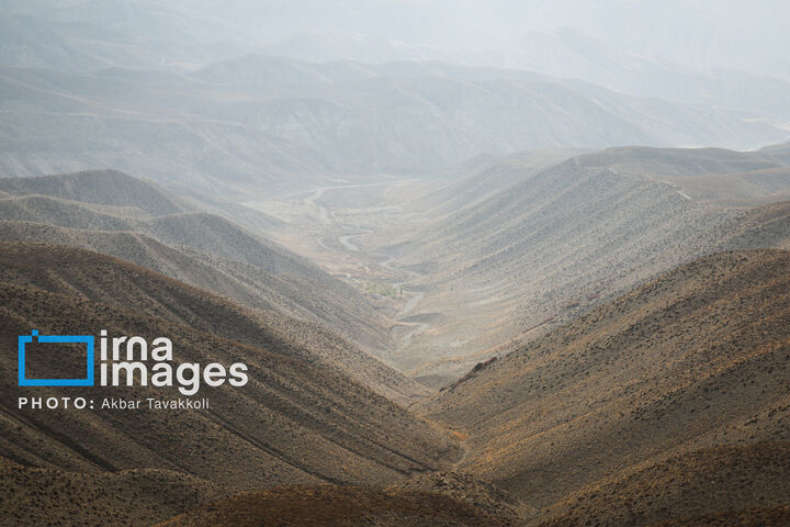 کاوده