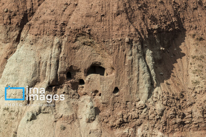 کاوده