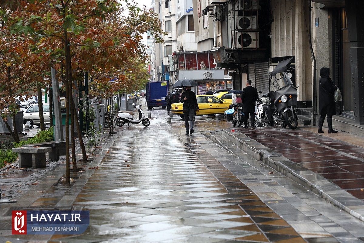 تصاویر/ بارش باران پاییزی در تهران
