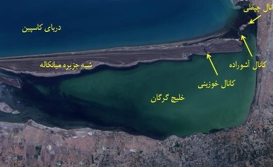  مسأله خلیج گرگان به شدت جدی است
