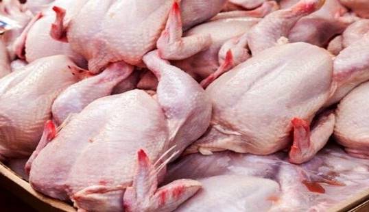 وعده جدید مسئولین؛ مرغ از 63 هزار تومان بیشتر نمی‌شود