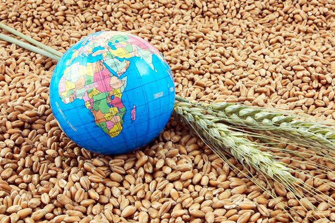 راهکار جهانی برای مقابله با بحران غذایی و رشد قیمت‌ها/ دو دلیلی که قیمت کالاهای اساسی را افزایش داد