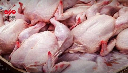 فروش مرغ با قیمت بیش از 63 هزار تومان تخلف است