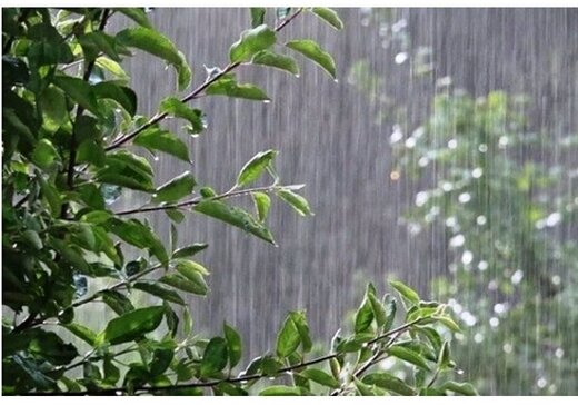بارندگی‌ از فردا در 20 استان آغاز و تا جمعه ادامه دارد