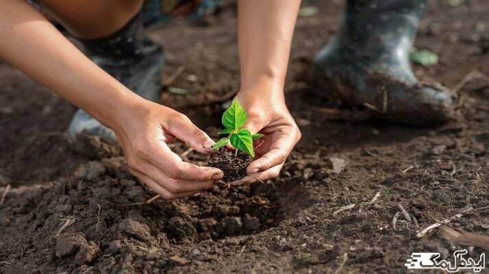 ضرورت کاشت یک میلیارد درخت با مدیریت دقیق