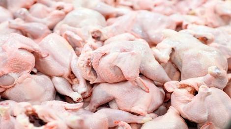 اتحادیه: فروش مرغ بالاتر از کیلویی 63 هزار تومان تخلف است