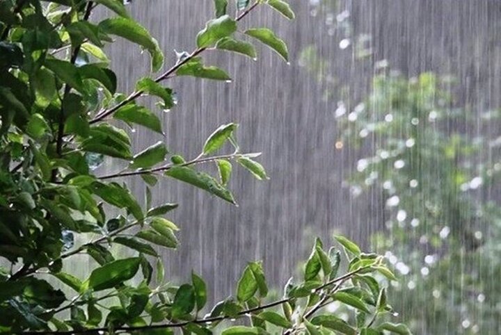 تشدید بارش باران در ۳ استان طی امروز