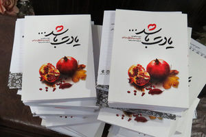 عاشقانه‌ای آرام از یک مدافع حرم