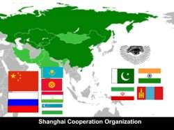 تاکید سازمان همکاری شانگهای بر مبارزه با تروریسم سایبری